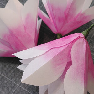 Atelier DIY magnolias en papier Paris