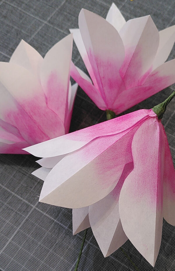 Atelier DIY magnolias en papier Paris