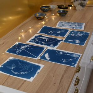 découverte du cyanotype, technique photographique
